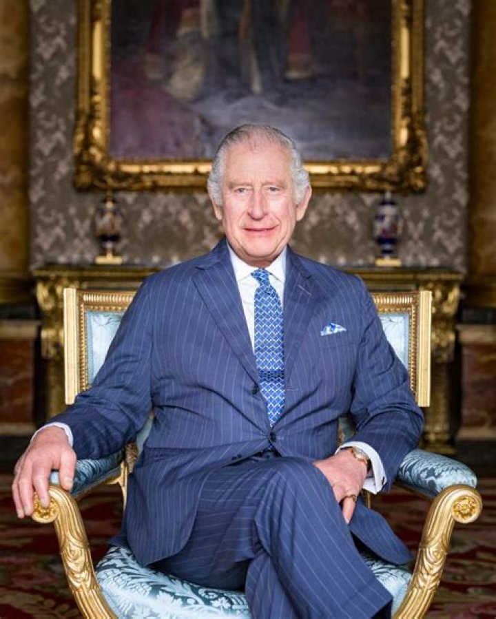 'Vulnerable' King Charles looks 'sad' in new portrait, royal expert says