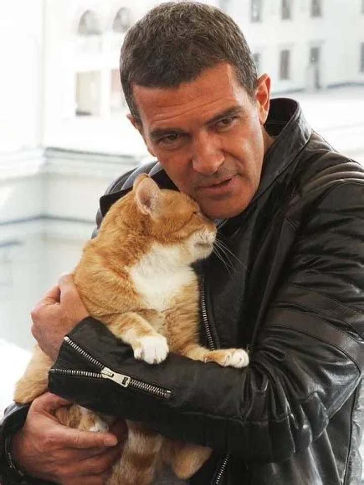Antonio Banderas Pets - Celebrity Pets