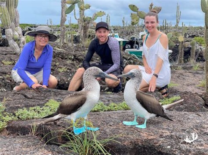 Best Time to Visit the Galapagos