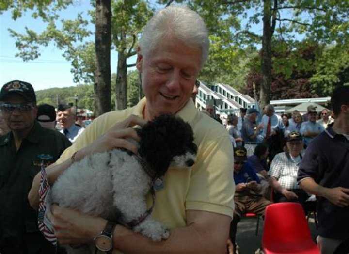 Bill Clinton Pets - Celebrity Pets