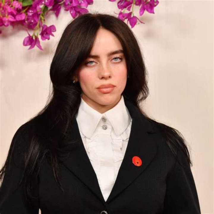 Billie Eilish and Steve Lacy have fans 'freaking out' with 'cozy' snap