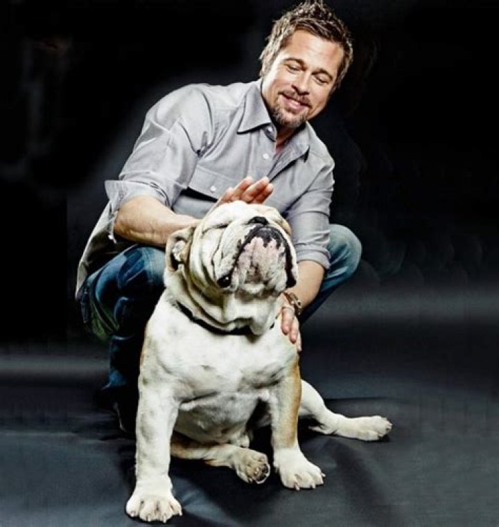 Brad Pitt Pets - Celebrity Pets