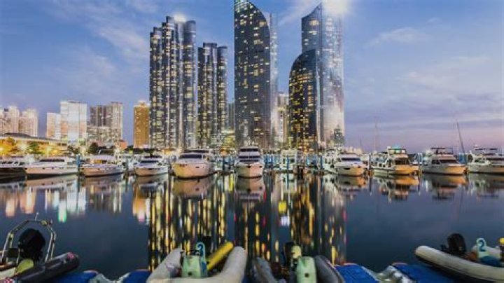 Busan Cruise: Best Cruises to Busan