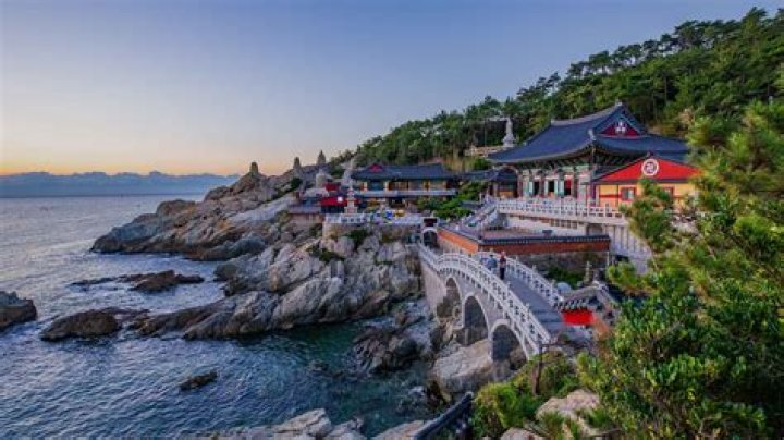 Busan Shore Excursions & Cruise Excursions
