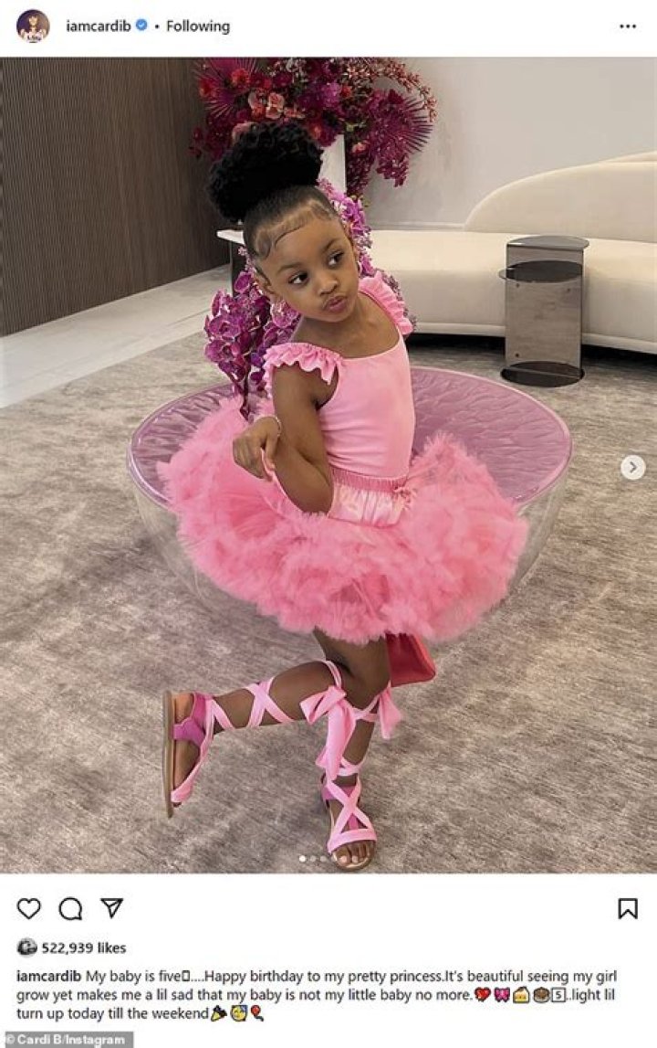 Cardi B's $20k playground for daughter's birthday has fans begging to be adopted
