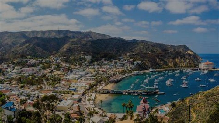 Catalina Island Shore Excursions & Cruise Excursions