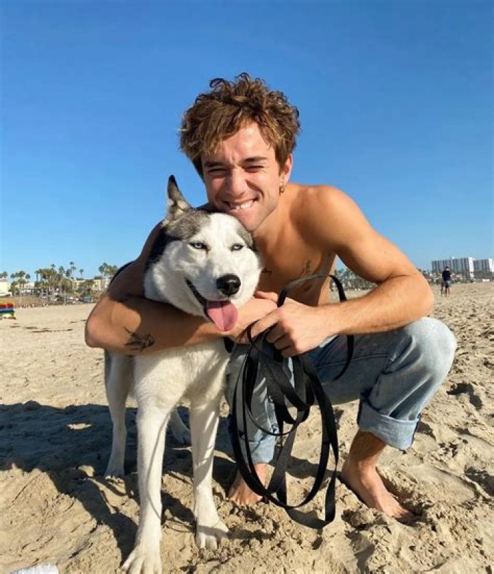 Daniel Seavey Pets - Celebrity Pets