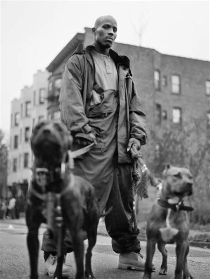 DMX Pets - Celebrity Pets
