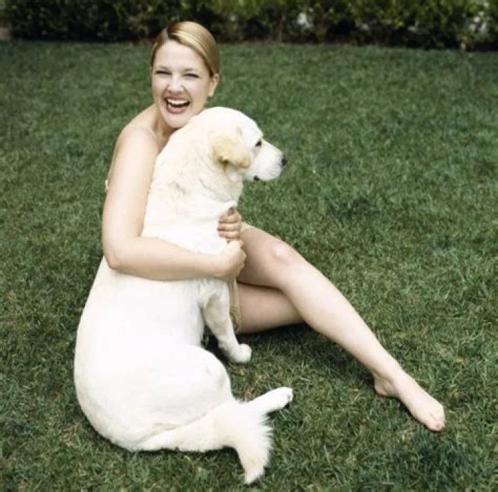 Drew Barrymore Pets - Celebrity Pets