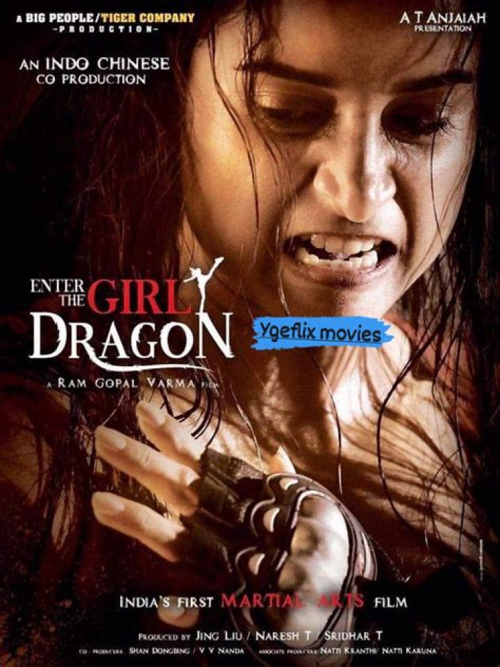 Enter the Girl Dragon coming to Netflix?