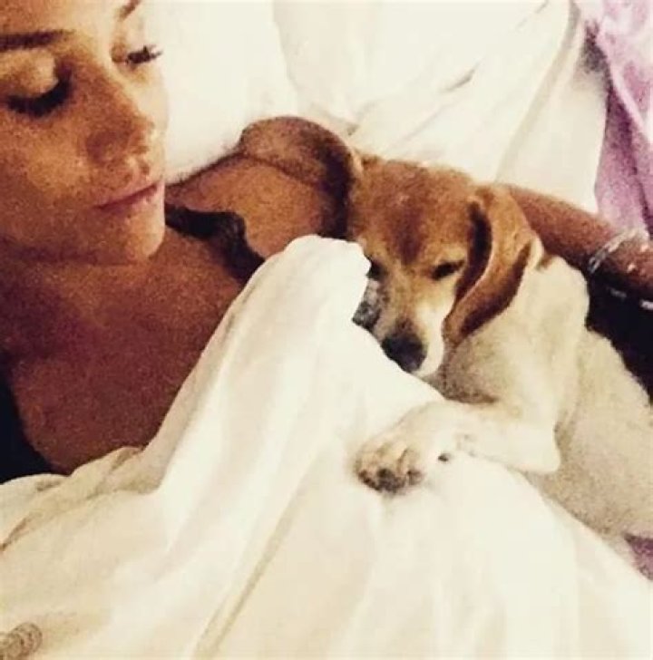 From Rags to Riches: Meghan Markle & Her Dog’s Adorable Adoption Story