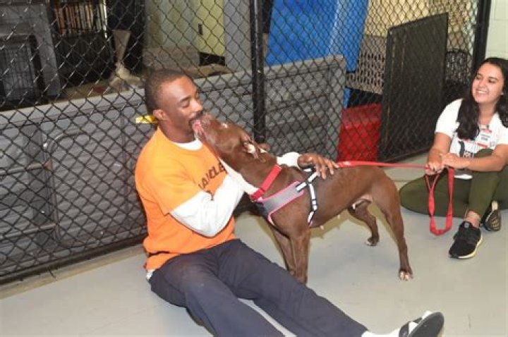 House of Cards Kate Mara Steps Up to Help Canine CellMates and Rescues 10 Dogs