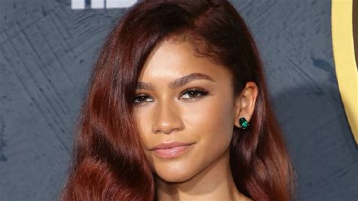 Is Zendaya Pregnant in 2023? The Real Truth!