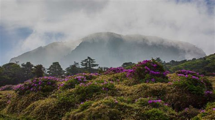 Jeju Island Shore Excursions & Cruise Excursions