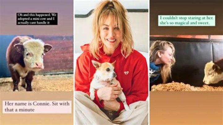 Kaley Cuoco Adopted a Cow Named Connie Cowstein