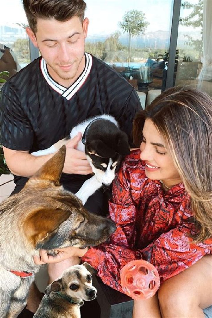 Kevin Jonas Pets - Celebrity Pets