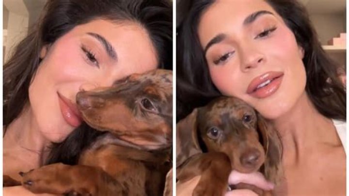Kylie Jenner Gets Her 12th Dog: A New Dachshund Puppy Named Moo Pants