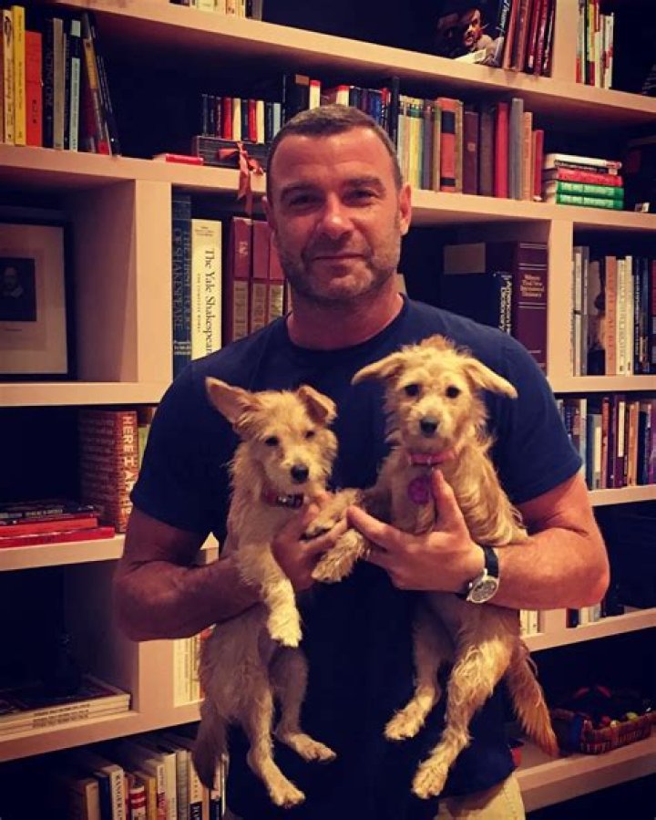Liev Schreiber adopts two orphaned puppies from Houston and our hearts melted