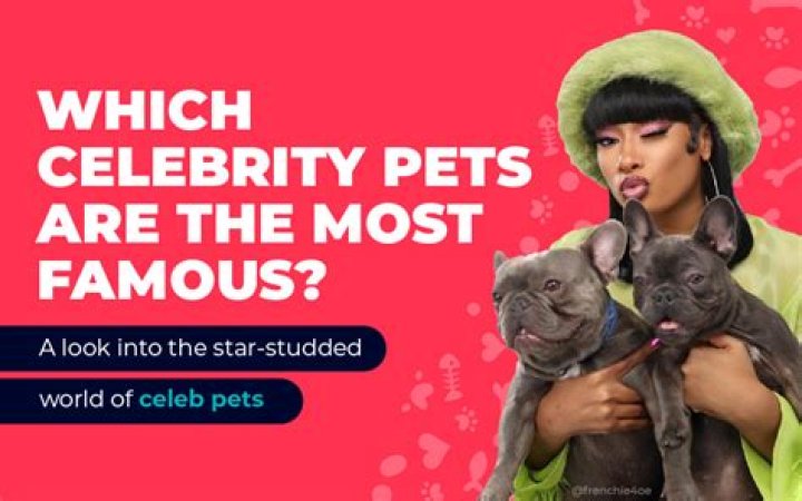 Lola Tung Pets - Celebrity Pets