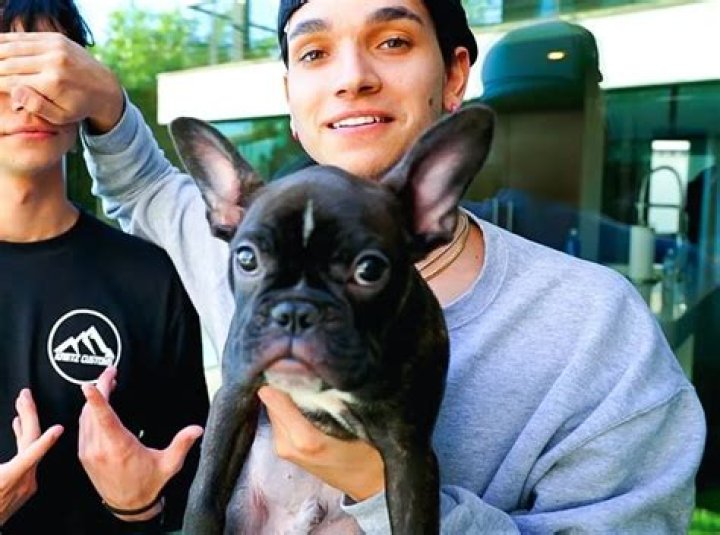 Marcus Dobre-Mofid Pets - Celebrity Pets