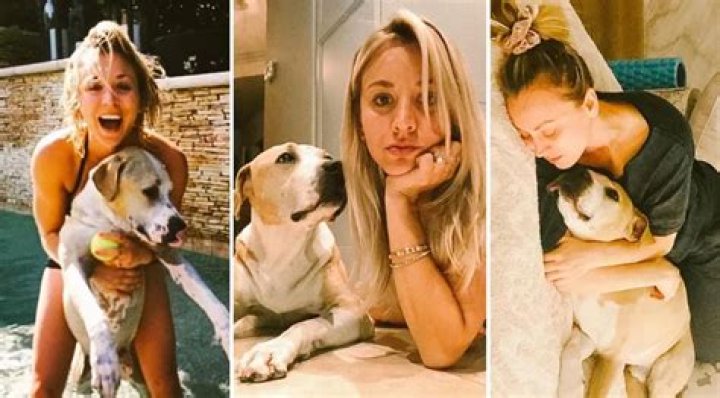 Oh Norman! Kaley Cuoco Launching Dog Brand in Memory of Her Beloved Dog