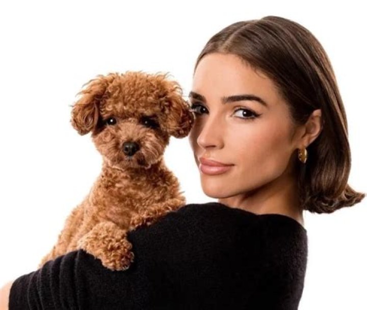 Olivia Culpo Pets - Celebrity Pets