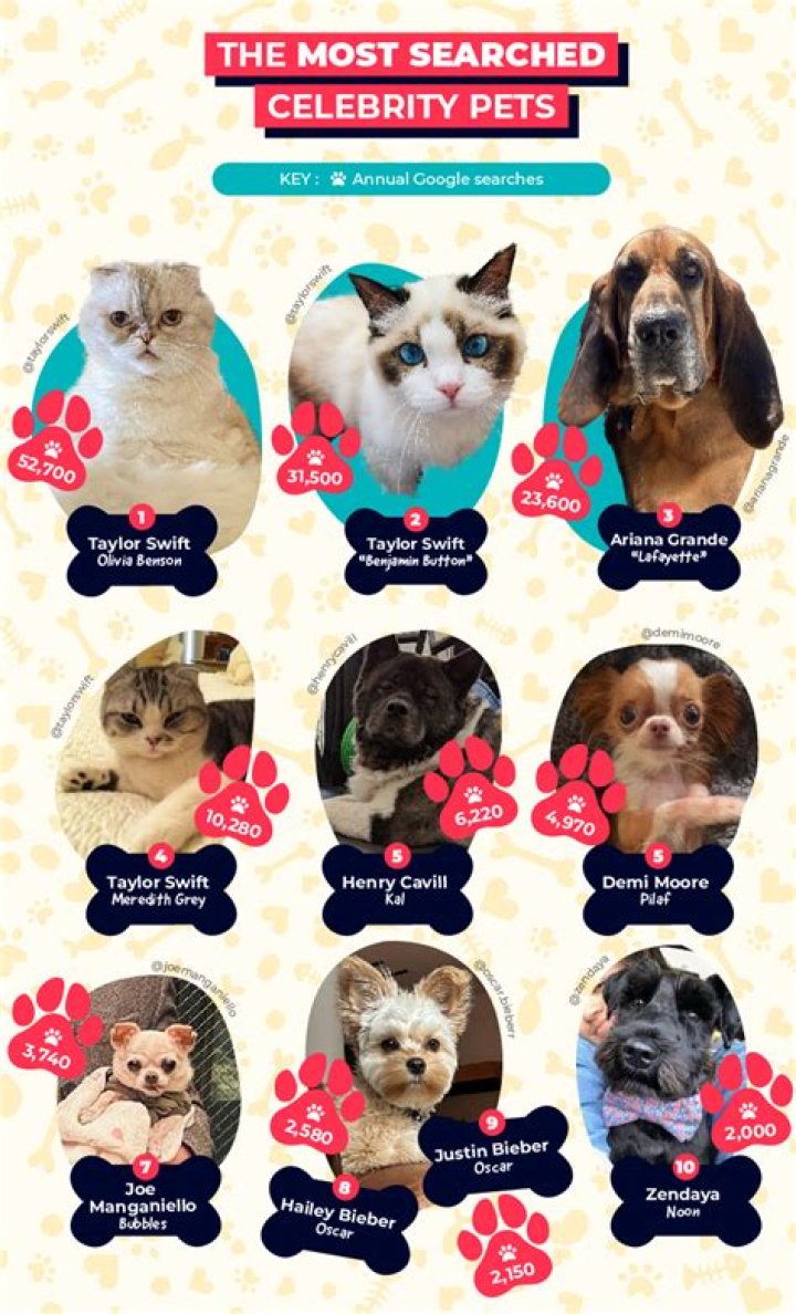 Sambucha Pets - Celebrity Pets