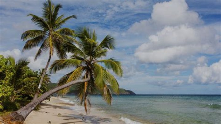 St. Croix Cruise: Discover Cruises to St. Croix