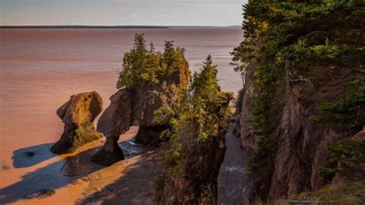 St. John New Brunswick Shore Excursions & Tours