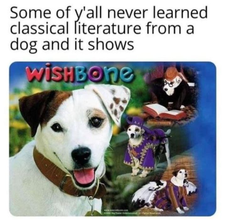 The Story of Soccer, the Dog Actor That Played Wishbone