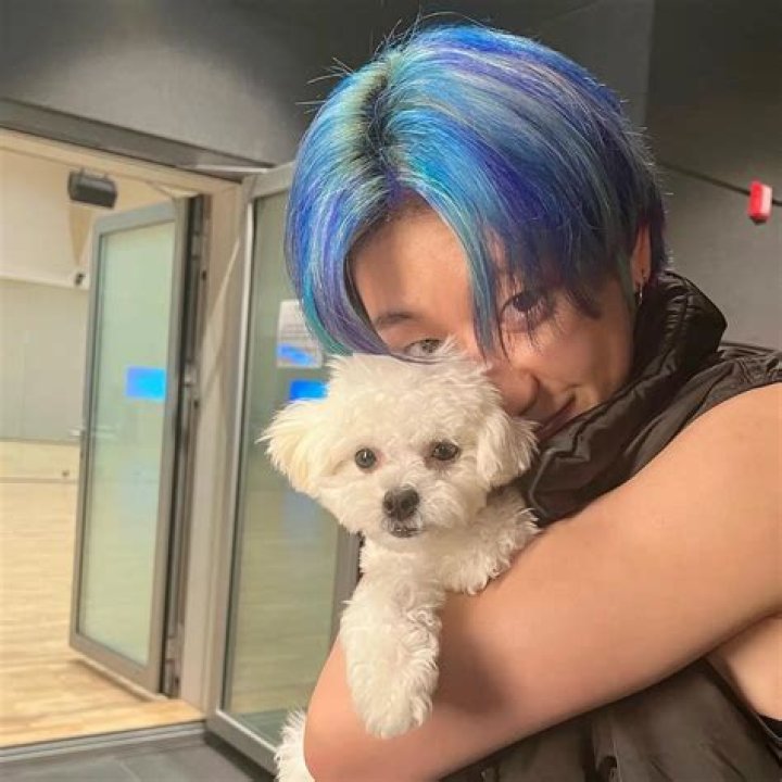 The8 (Xu Minghao) Pets - Celebrity Pets