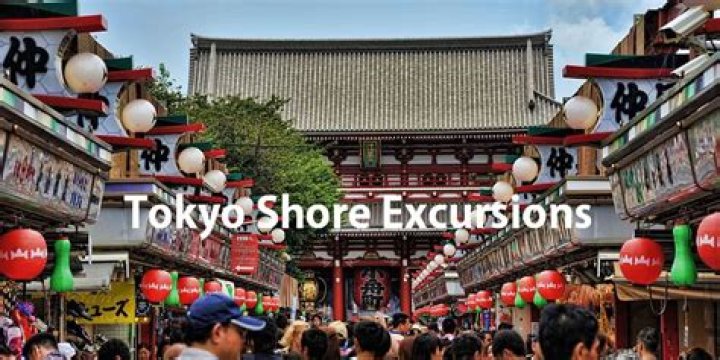 Tokyo Shore Excursions & Cruise Excursions