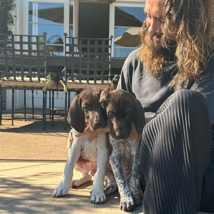 Tom Kaulitz Pets - Celebrity Pets