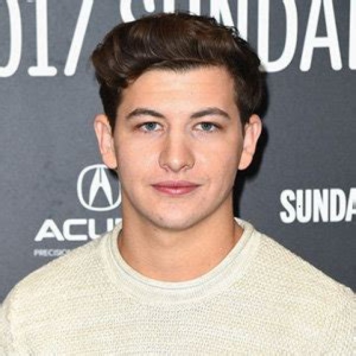 Tye Sheridan Gay, Girlfriend, Net Worth