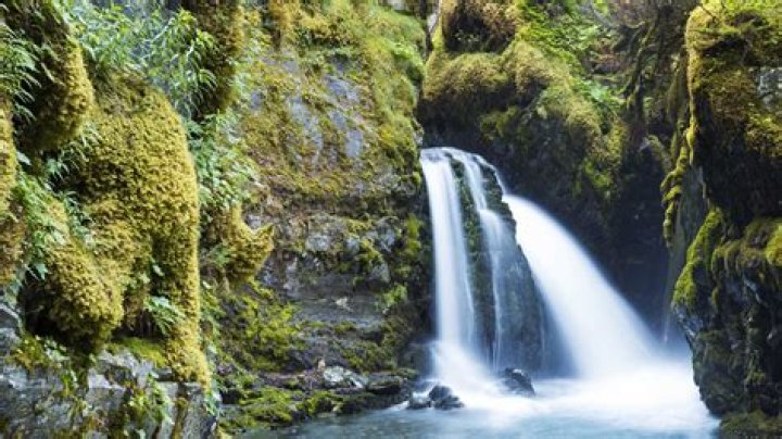 Visit Alyeska on an Alaska Cruisetour