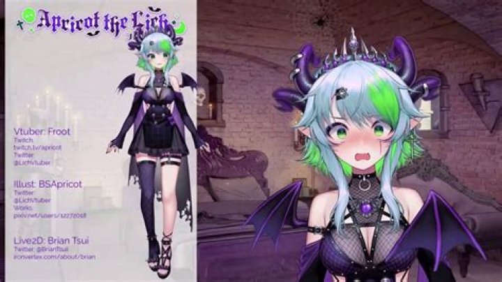 Vtuber Froot Cheating Drama And Controversy: Who Is Her Husband?