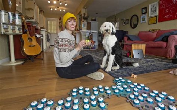 whataboutbunny – A Talking Dog, No Seriously, It’s a Talking Dog That Uses Buttons